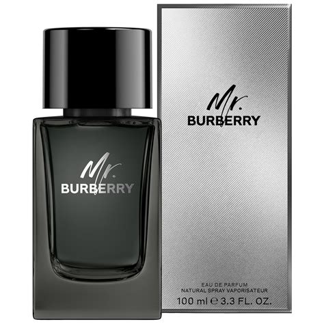 burberry mr. burberry